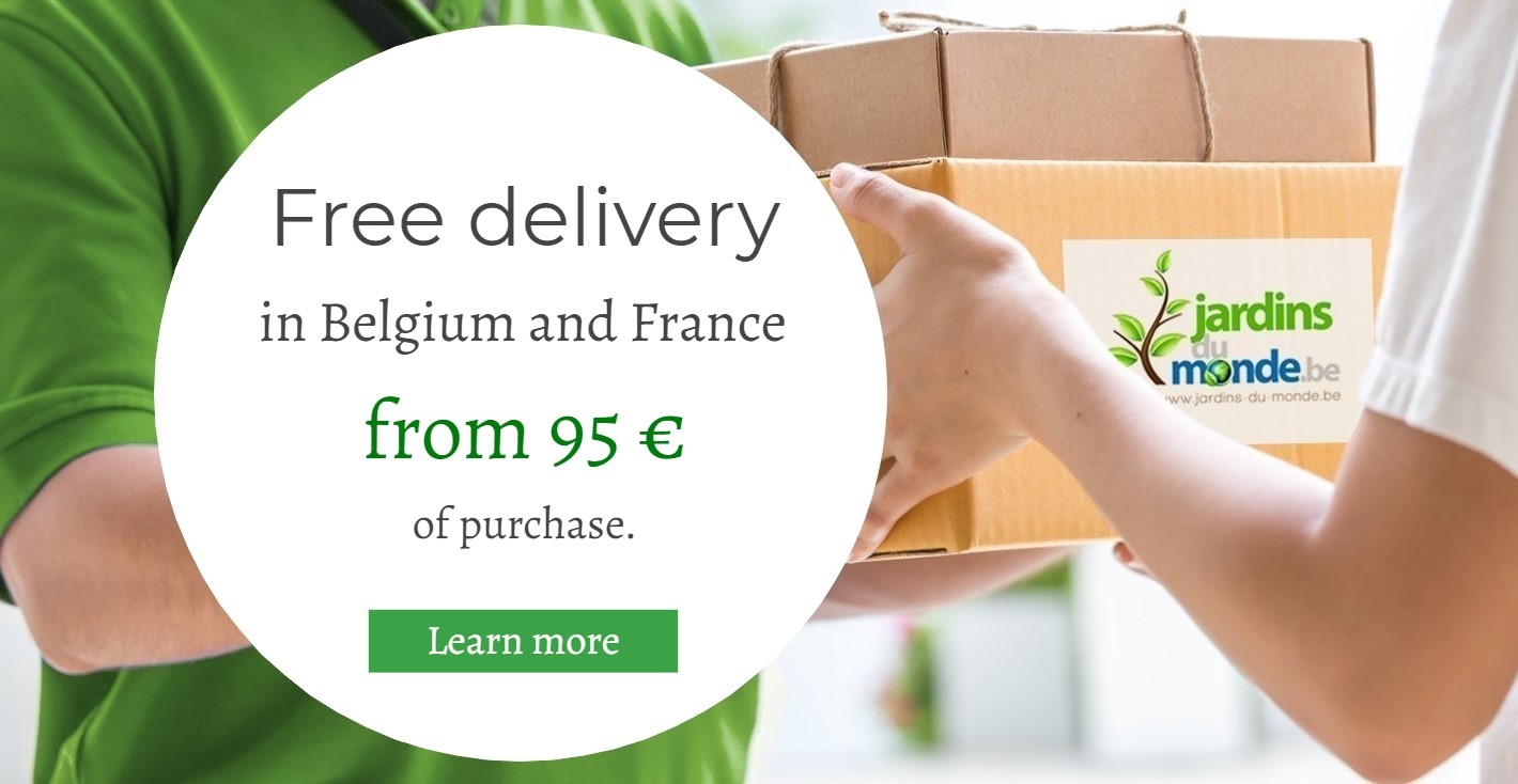 delivery